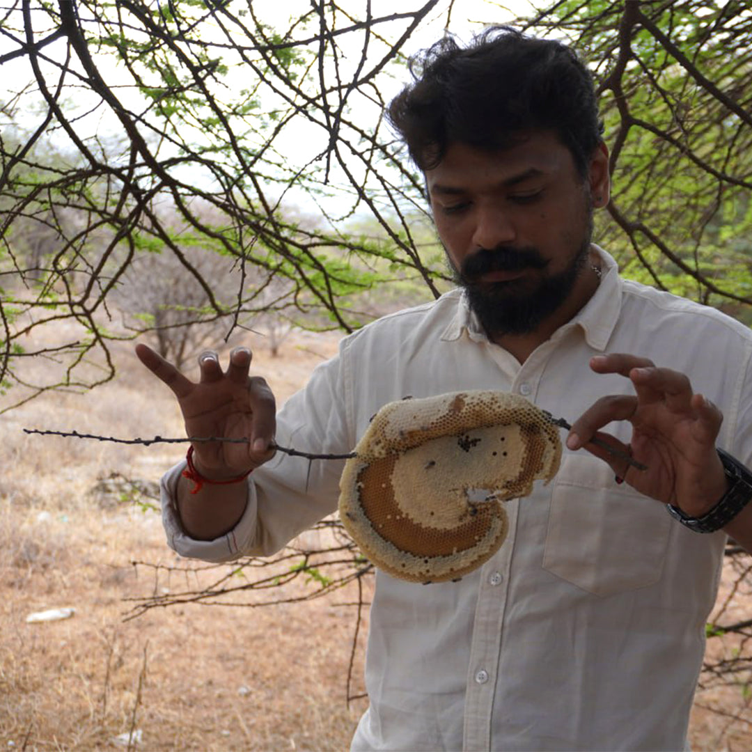 Kombu Honey - Best Suited for Kids - Wild Tiny Bee